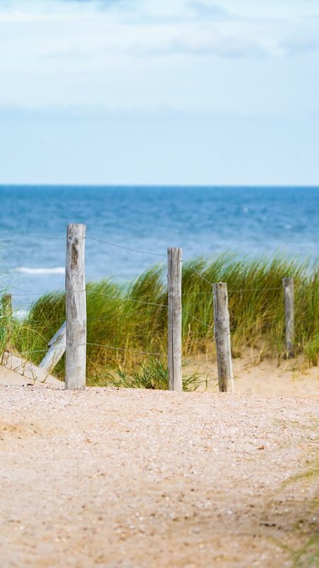 thin, sea, fence-2902686.jpg